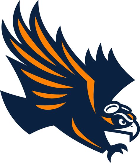 An Orange And Blue Bird With Wings On Its Head Is In The Air