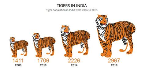Tiger Population In India From 2006 To 2018 Tiger Population