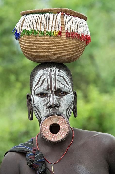 Mursi Woman With Lip Plate And Basket Photograph By Tony Camacho Fine