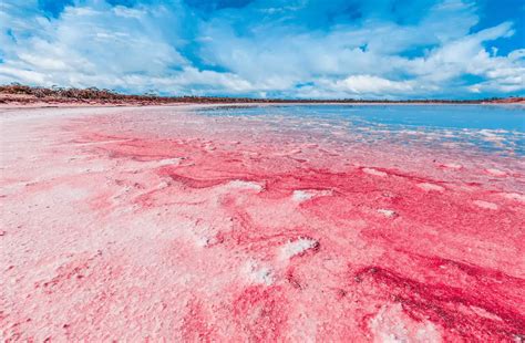 Hillier A Mystic Pink Lake In Australia We Travel Guides