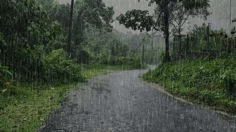 Heavy Rain In Forest Road At Night 🌴 Pouring Rain In The Woods