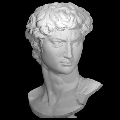 3d Printable Head Of Michelangelos David By Smk Statens Museum For