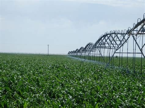 Beautiful 2400 Acre Irrigated Farm Land For Sale In Texas 78305
