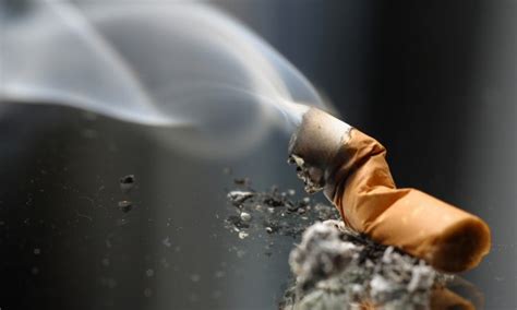 ¿qué Hay En El Humo Del Cigarrillo Que La Mayoría De La Gente Ignora