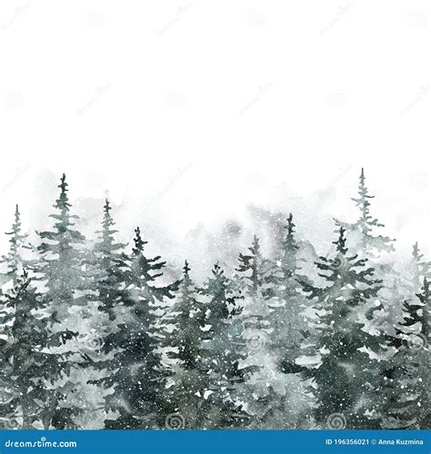 Winter Pine Tree Forest Watercolor Spruce Trees Landscape Illustration