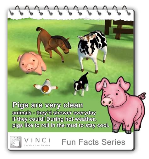 Did You Know These Fun Facts About Pigs Learn More About Pigs And