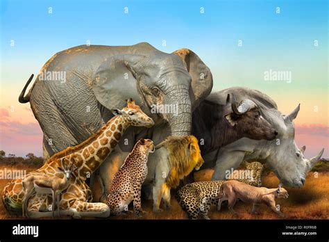 Side View Of Big Five And Wild African Animals Composition On Savannah