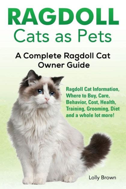 Ragdoll Cats As Pets Ragdoll Cat Information Where To