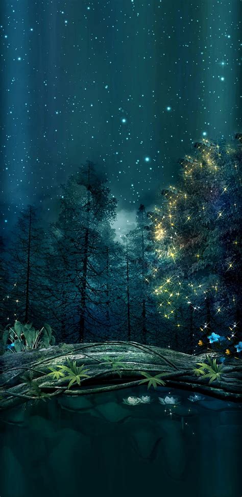 Aggregate 161 Beautiful Night Forest Wallpaper Super Hot 3tdesign Edu Vn