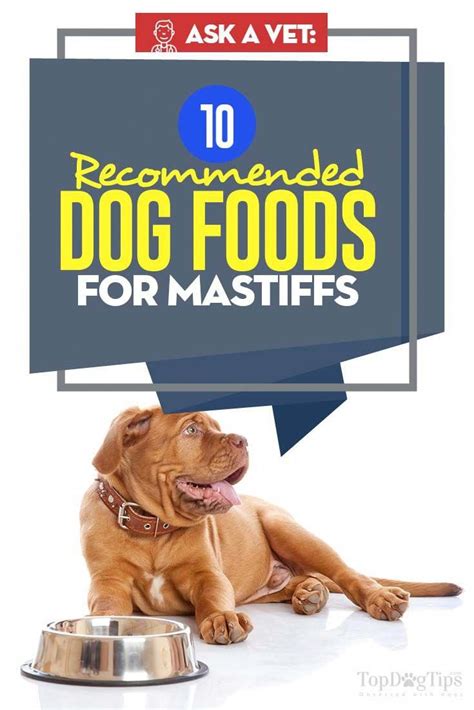 Because rachael ray™ nutrish® dog food may offer different ingredients than your dog is used to, it may take up to ten days for your dog's system to become acclimated. Inexpensive Dog Groomers Near Me #LuxuryBeddingTeal | Dog ...