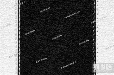 Black And White Leather Texture With White Stitches Stock Photo