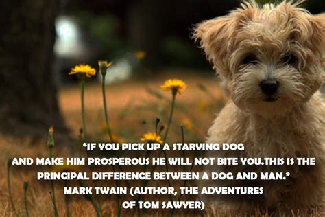 We Hopethat These Dog Quotes Made Your Day Just Like It Was For Us