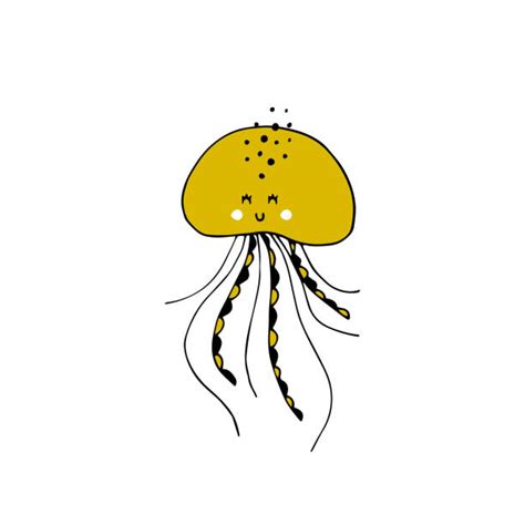Baby Jellyfish Drawings Illustrations Royalty Free Vector Graphics