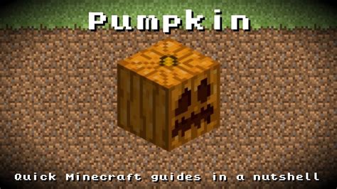 Pumpkin pie is a food item that can be eaten by the player. Minecraft - Pumpkin! Recipe, Item ID, Information! *Up to ...