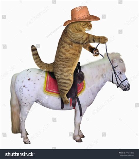 Cat Cowboy Hat Riding Horse White Stock Photo 776814595 Shutterstock