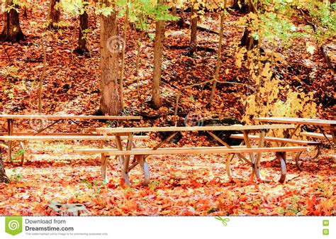 Benches In A Park Surrounded By Many Autumn Leaves Stock Photo Image