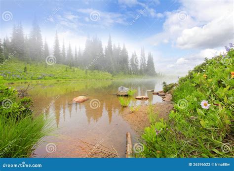 Mountain Lake With Fog Rock Flowers And Trees Stock Photo Image Of