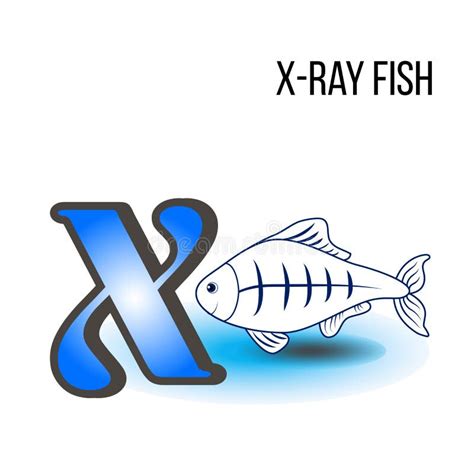 Xray Fish Vector Cartoon Underwater Animal Stock Vector