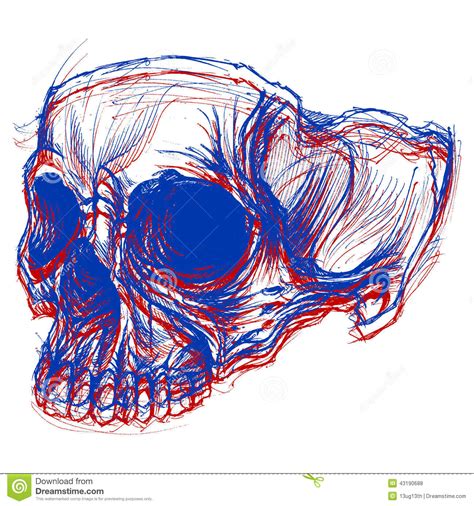 Skull 3D stock vector. Illustration of ghost, bright - 43190688