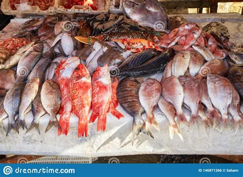 Real Fish Market And Fresh Fish Seafood From Atlantic Ocean Stock