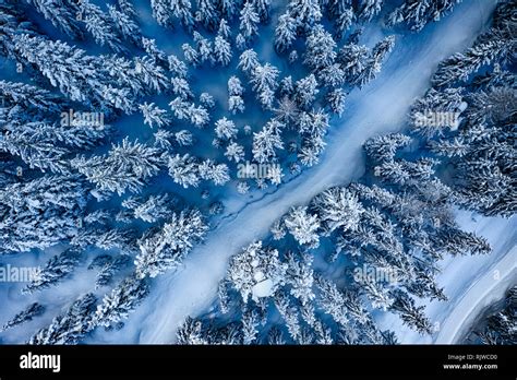 Winter Trees Aerial Hi Res Stock Photography And Images Alamy