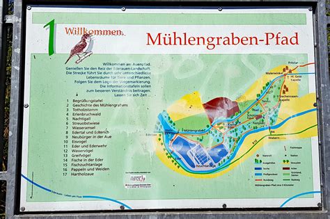 Diese bilden die vertreterversammlung, die vielfältige aufgaben hat. Wandern im Schwalm-Eder-Kreis - Der Mühlengrabenpfad bei ...