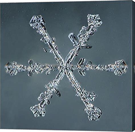 Stellar Dendrite Snowflake 0042142014 By Print Collect