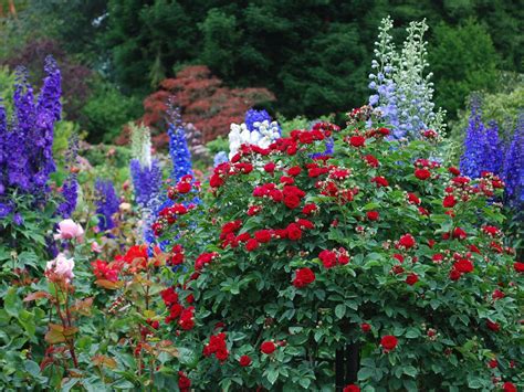 Read on for the best winter flowers. The 7 most beautiful Spring gardens to visit in the UK ...