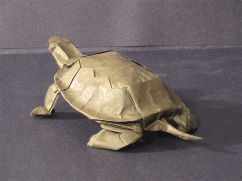 Origami Turtle Lang Western Pond Turtle Designed By Ro Flickr