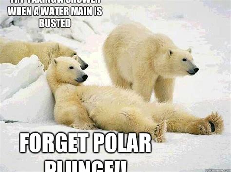 Bi Polar Bear Memes Quickmeme