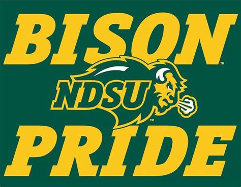 flag 3 x5 bison pride bison football ndsu bison football north dakota state university