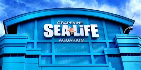 Blackstone Bails On Seaworld Invests In Competitor Merlin Swp