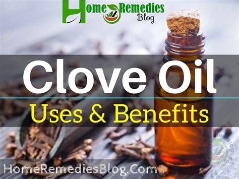 Top 15 Clove Oil Uses And Benefits For Healthy Living Clove Oil