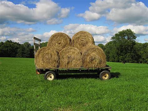 Hay Wagon Stock Photo Image Of Farmland Hayfield Tractor 20624806