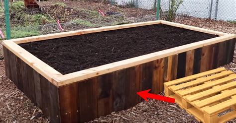 How To Build A Raised Garden With Pallets Raised Bed Gardens From Pallets Gardening Pallet