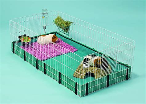 Guinea Pig Cages For Two Bruin Blog
