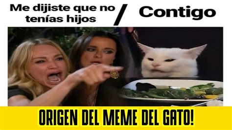 Origen Tras El Meme Del Gato Que Se Hizo Viral Youtube