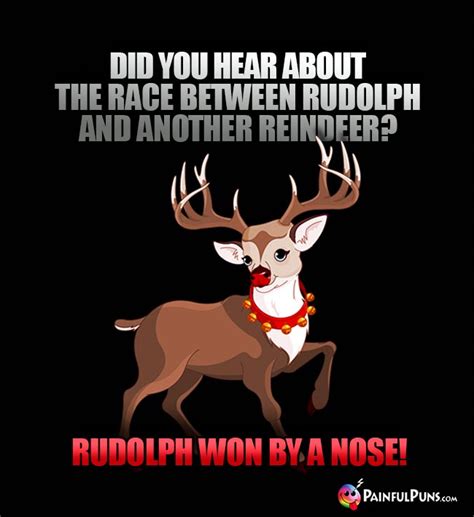 Christmas Animal Jokes Xmas Animal Puns Reindeer Jokes 12