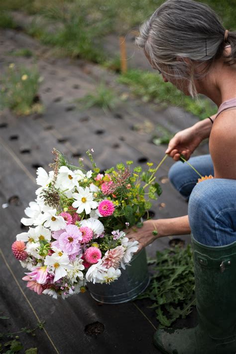 Growing A Cut Flower Garden — The Grit And Polish