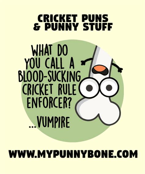 75 Cricket Puns And Jokes To Bowl You Away Mypunnybone