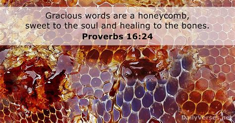 January 16 2021 Bible Verse Of The Day Proverbs 1624