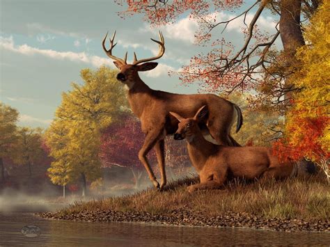 35 Fall Wallpaper With Deer Wallpapersafari