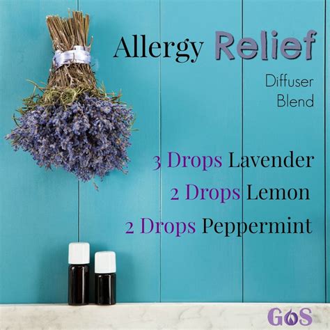get allergy relief with a diffuser blend essential oil diffuser recipes oil diffuser recipes