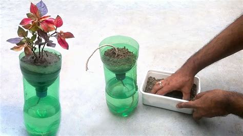 Self Watering System For Plants Using Waste Plastic Bottle Youtube