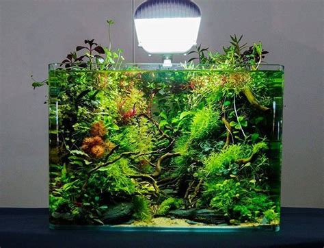 Aquascaping is a bit different. Astounding 50 Aquascape Aquarium Design Ideas https ...