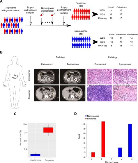 Multi Omics Characterization Of Molecular Features Of Gastric Cancer