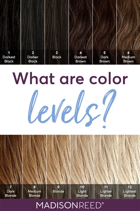 What Level Is My Hair Find Your Hair Color Level With This Guide From