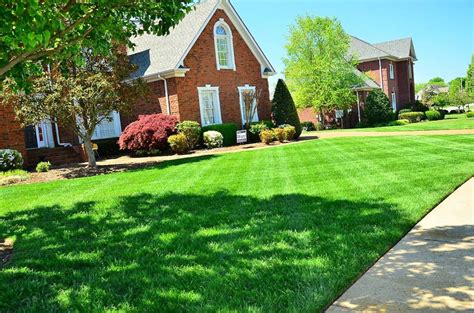 Lawn Care Cost A Guide To Services Importance And Diy Tips