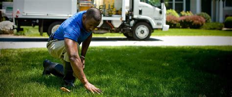 Ecoscapes Why Hiring A Professional Lawn Care Service May Be A Good Idea