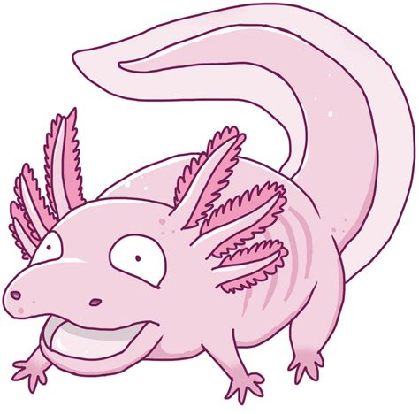 This Pokemon Sums Up The Axolotl Axolotls